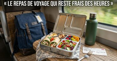 repas à emporter voyage